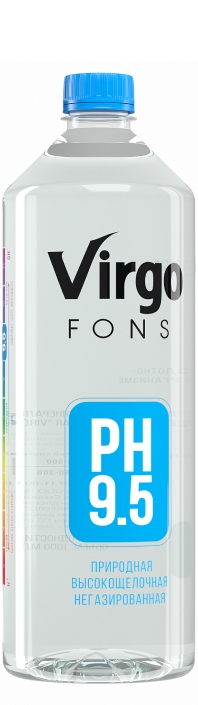 Virgo fons (Вирго фонс) 1л б/г пэт